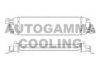 AUTOGAMMA 105335 Intercooler, charger